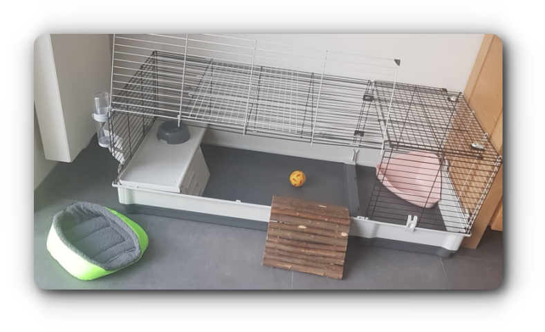 cage aménagée pour les lapins